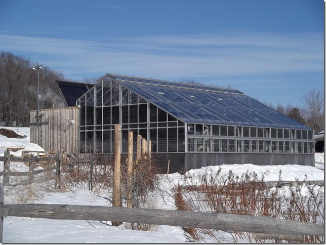 Nachhaltige Wärme für das grüne Zuhause: Der Fröling FHG Scheitholzkessel als effiziente Lösung für die Beheizung mehrerer Gebäude